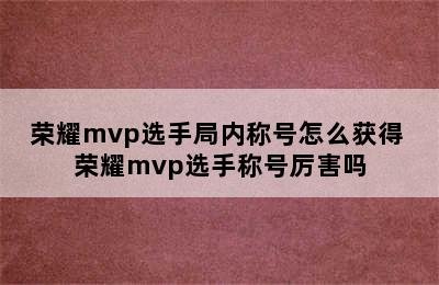 荣耀mvp选手局内称号怎么获得 荣耀mvp选手称号厉害吗